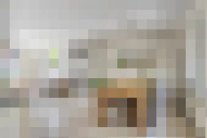 Rustburg 52 Ouddorp thumbnail 9