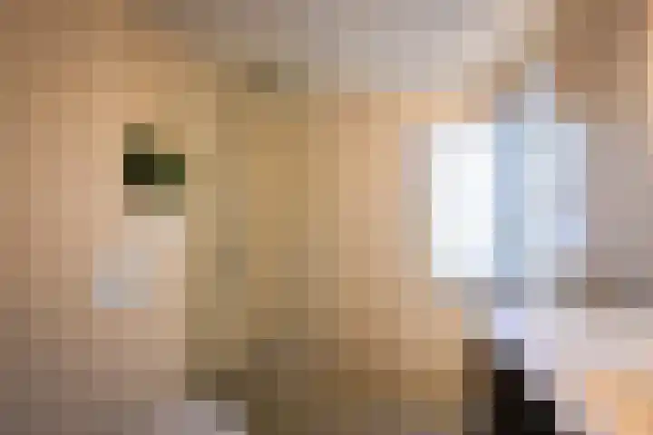 Rustenburg 88 Zaandam thumbnail 27