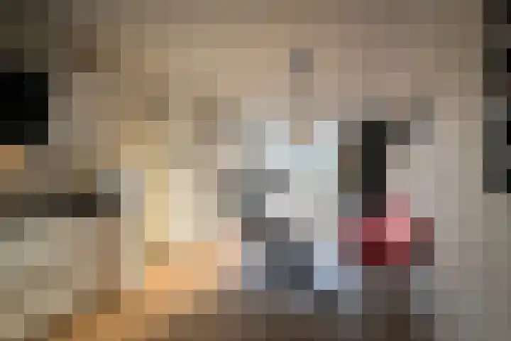 Rustenburg 88 Zaandam foto 3