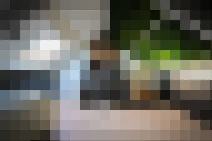 Rustenburg 88 Zaandam thumbnail 31