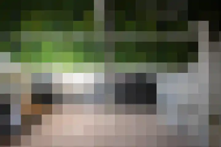 Rustenburg 88 Zaandam thumbnail 32