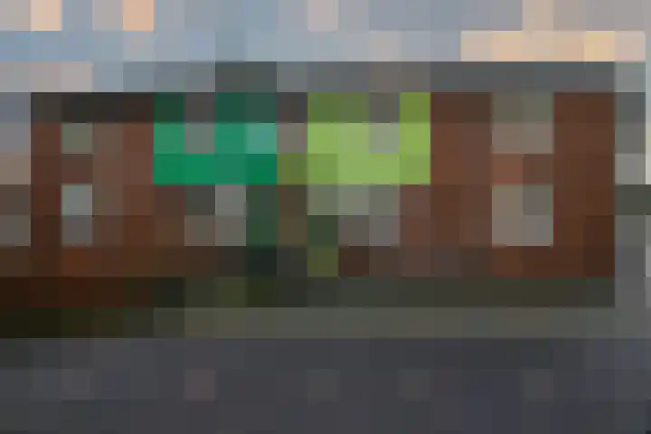 Rustenburg 88 Zaandam thumbnail 36