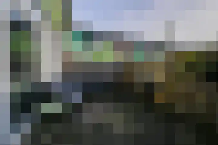 Rustenburg 88 Zaandam thumbnail 38