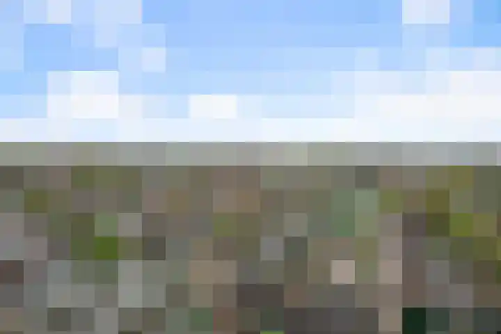 Rustenburg 88 Zaandam thumbnail 43