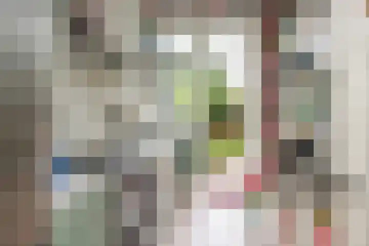 Rustenburgerlaan 42 Haarlem thumbnail 12