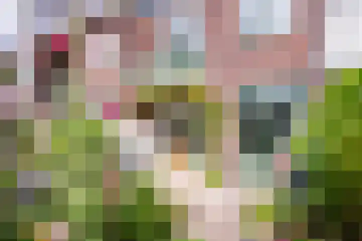 Rustenburgerlaan 42 Haarlem thumbnail 16