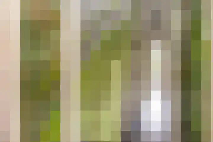 Rustenburgerlaan 42 Haarlem thumbnail 18