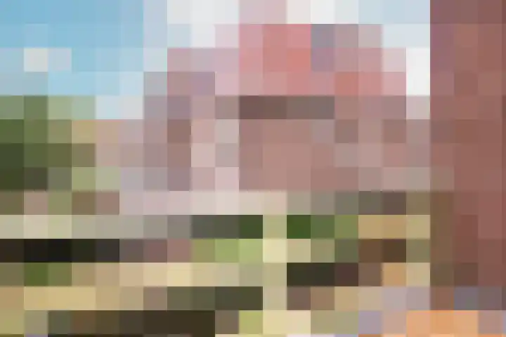 Rustenburgerlaan 42 Haarlem thumbnail 26