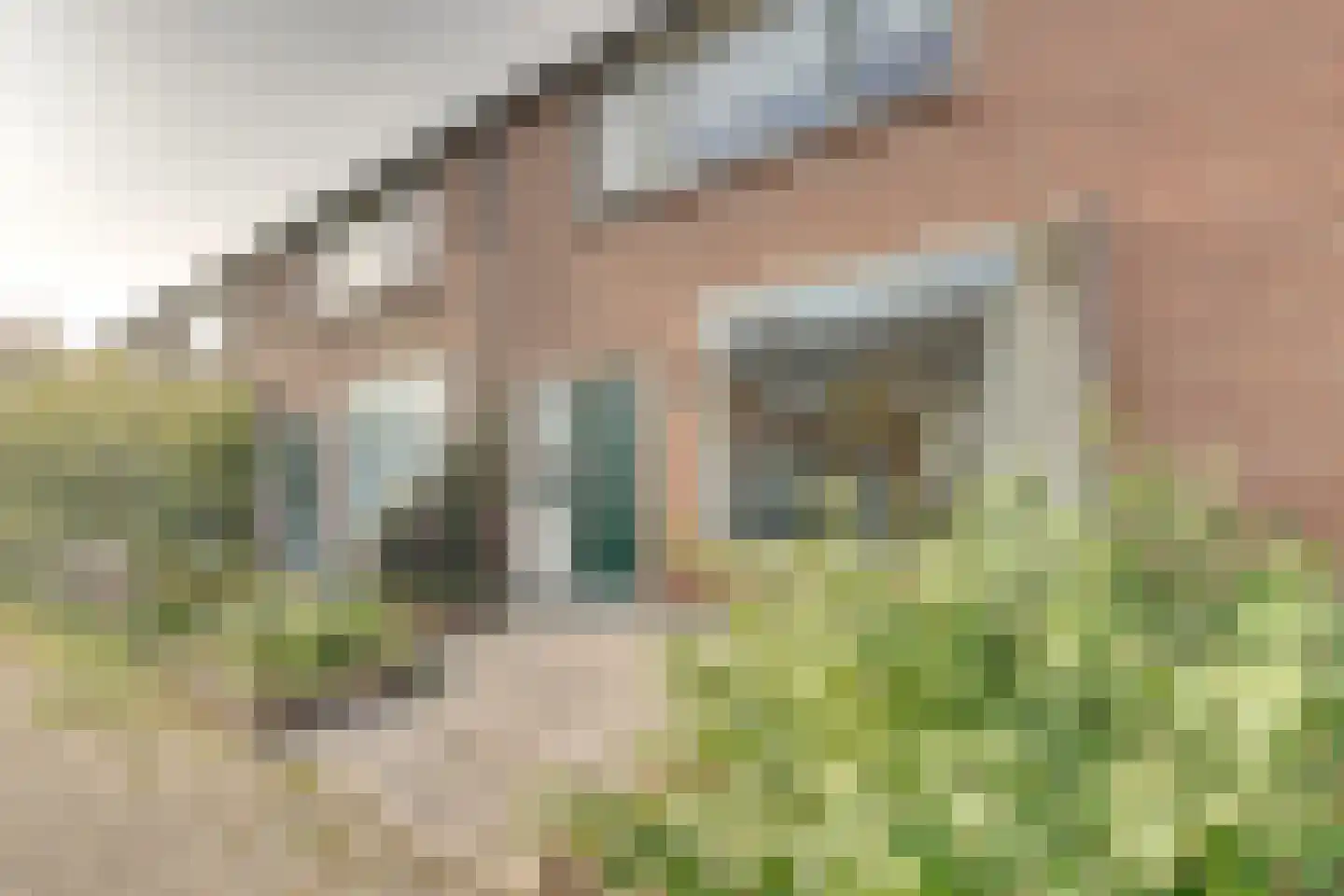 Rustenburgstraat 34 Middelburg thumbnail 7