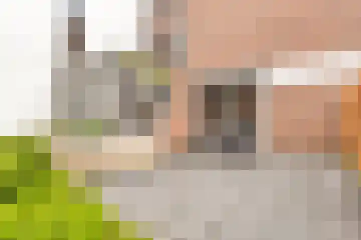 Rustenburgstraat 64 Apeldoorn thumbnail 37