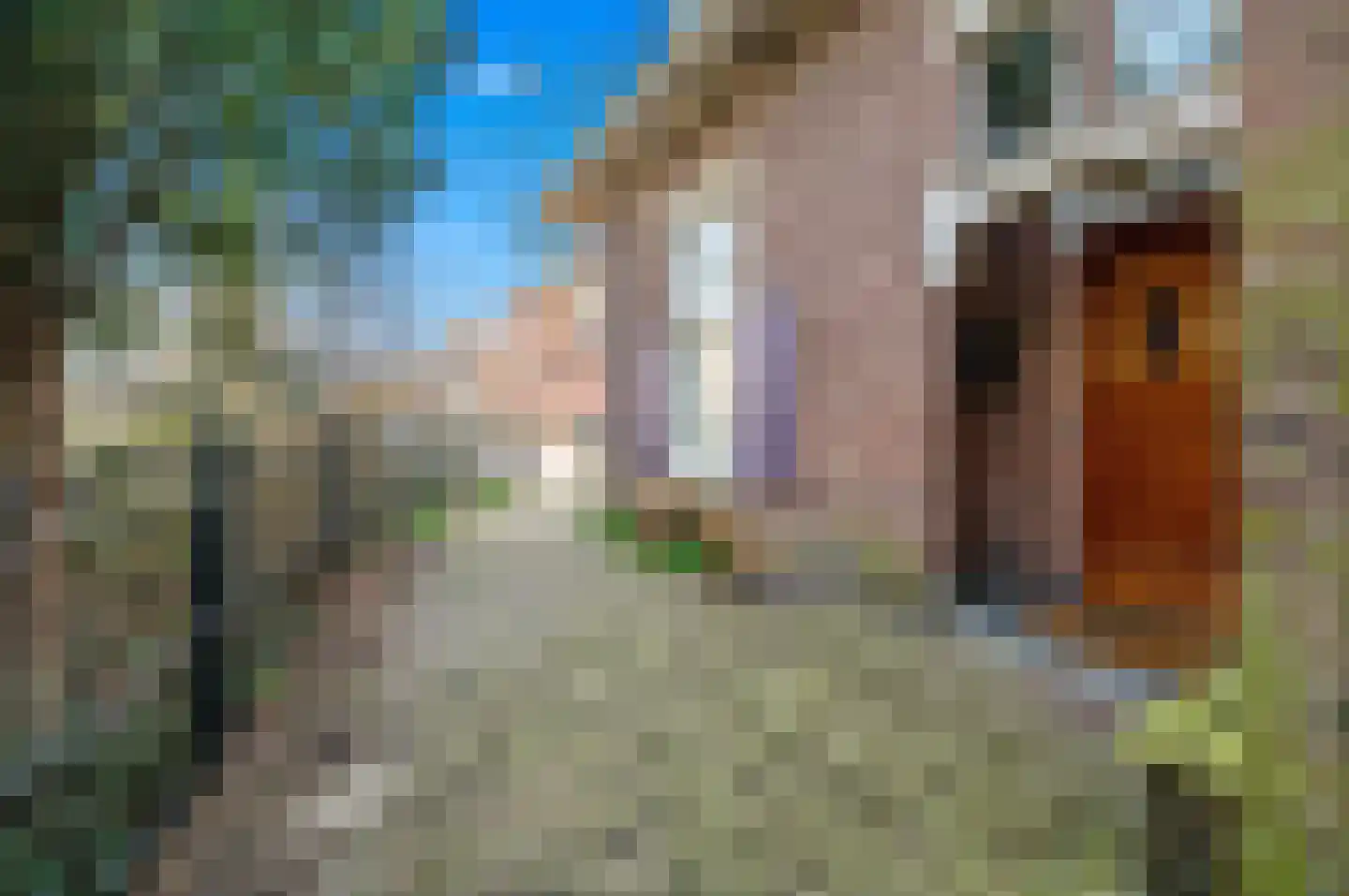 Rusthoekstraat 34 Den Haag thumbnail 10