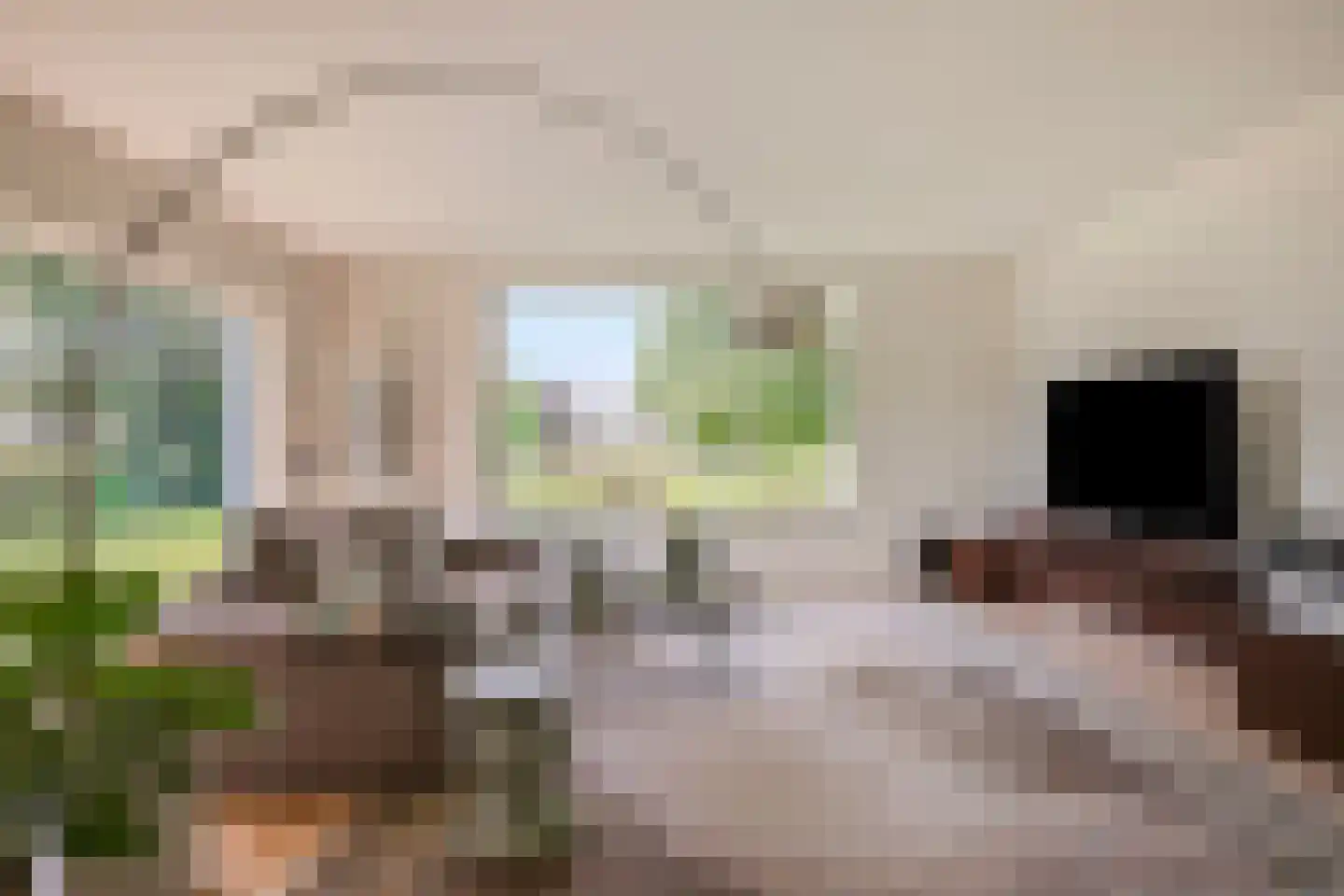 Rustvenseweg 16 Reek thumbnail 22