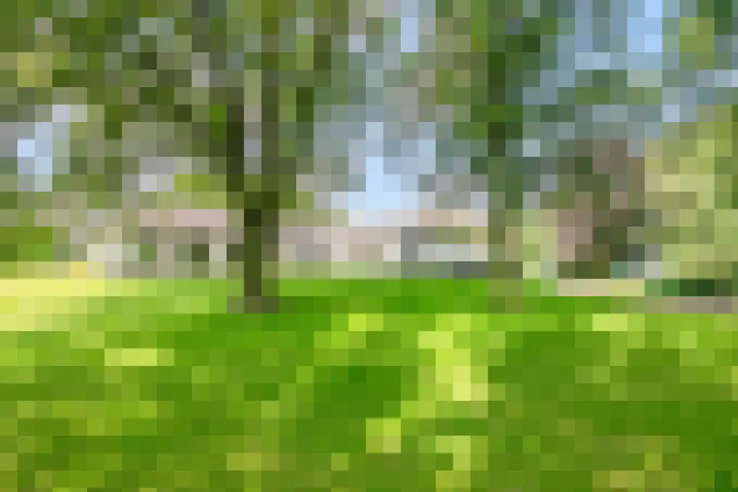 Rustvenseweg 16 Reek thumbnail 36