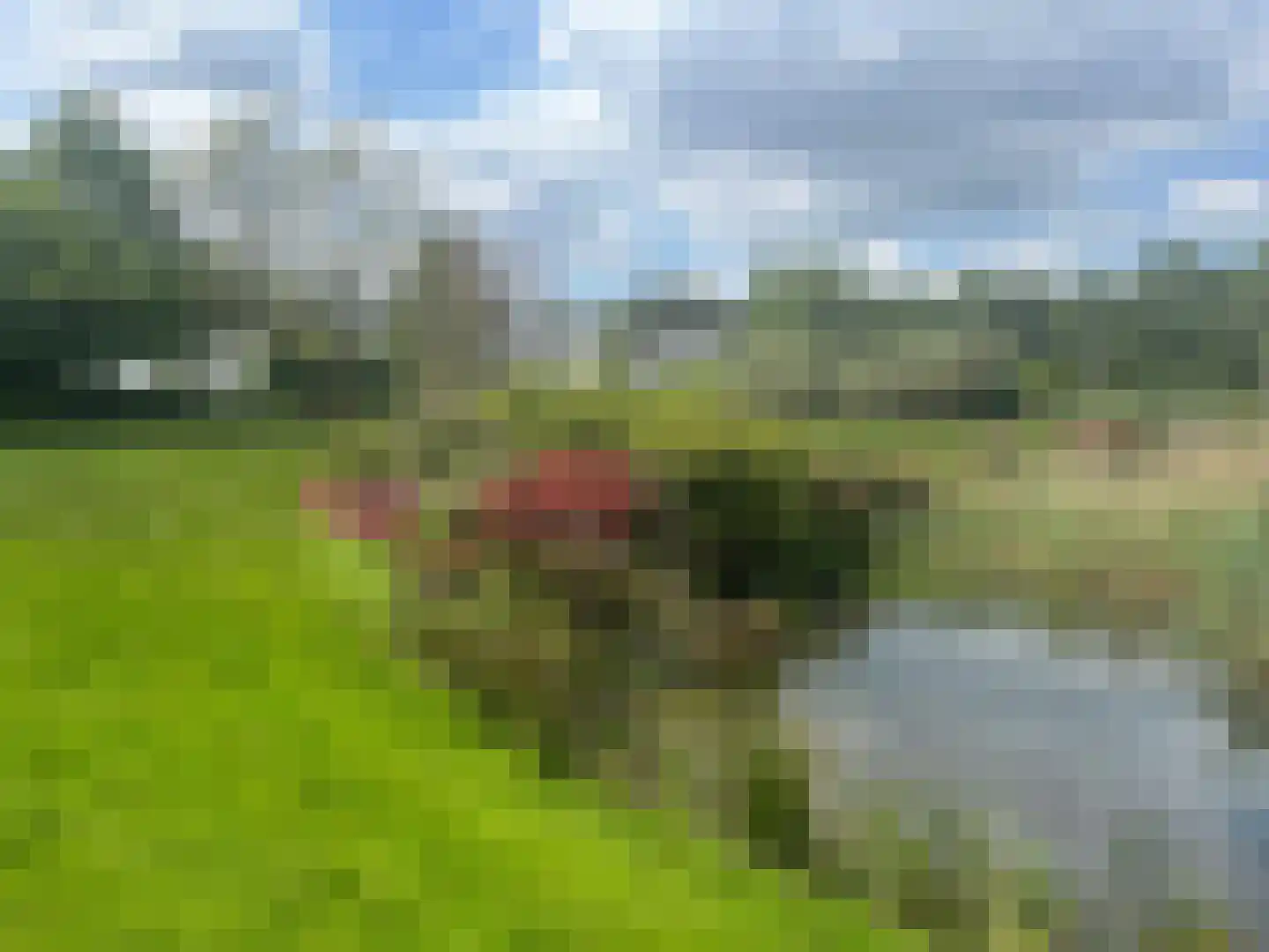 Rustvenseweg 16 Reek thumbnail 47