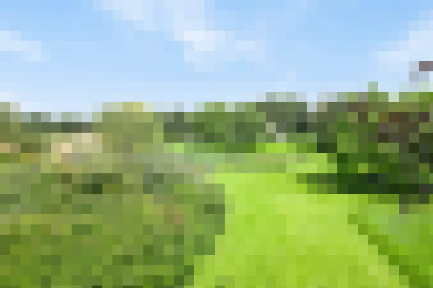 Rustvenseweg 16 Reek thumbnail 48