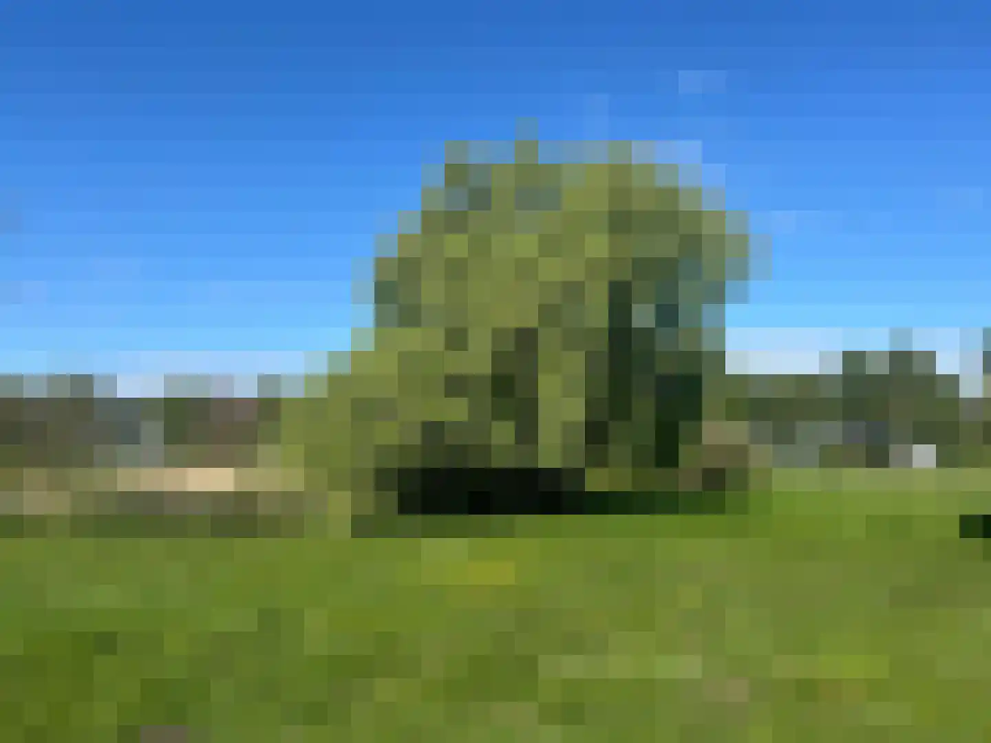 Rustvenseweg 16 Reek thumbnail 49