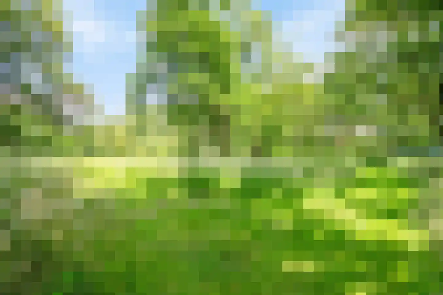 Rustvenseweg 16 Reek thumbnail 56