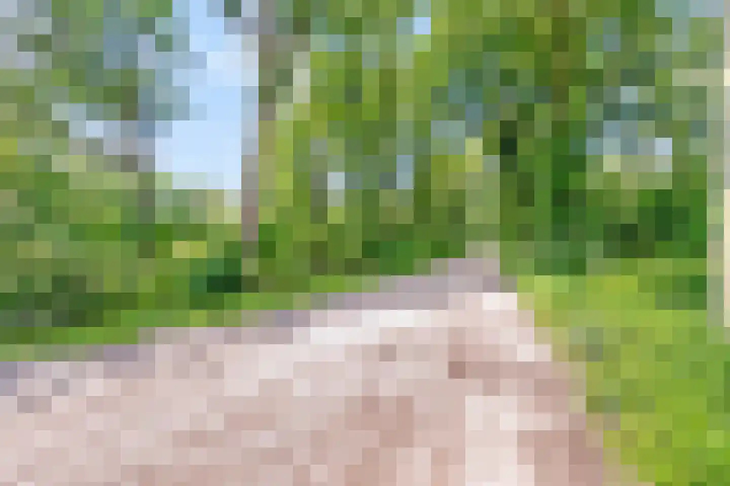 Rustvenseweg 16 Reek thumbnail 57