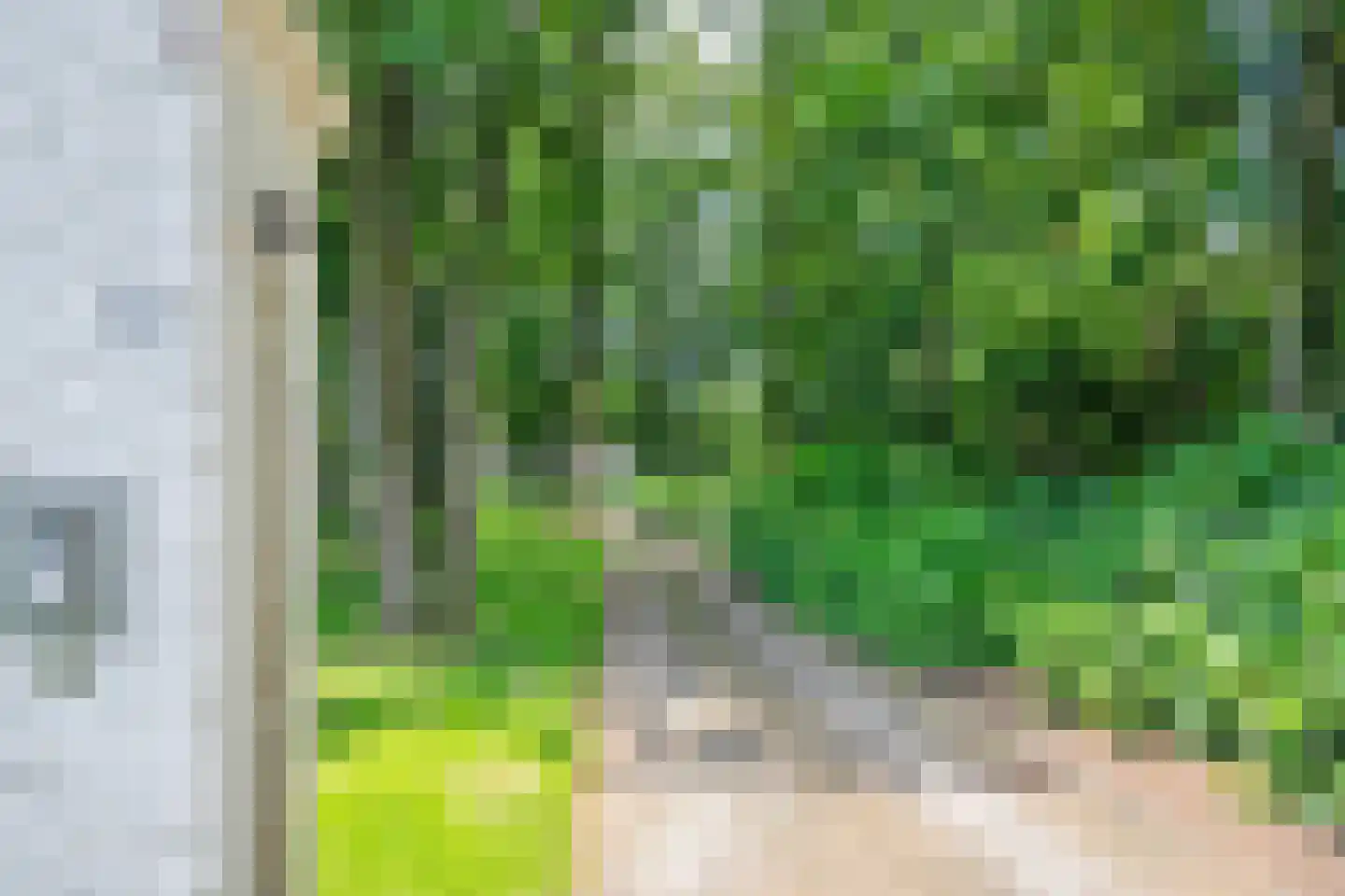 Rustvenseweg 16 Reek thumbnail 6
