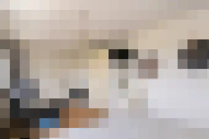 Rutenberg 38 Raalte thumbnail 24