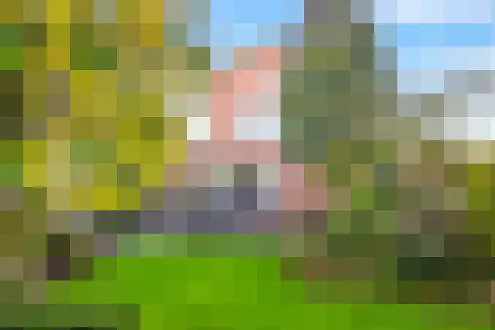Rutenberg 38 Raalte thumbnail 35