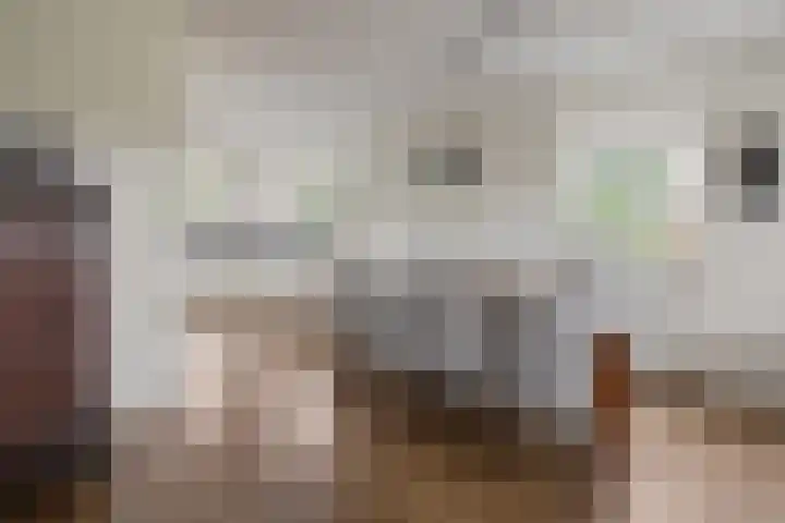Rutenberg 46 Raalte thumbnail 17