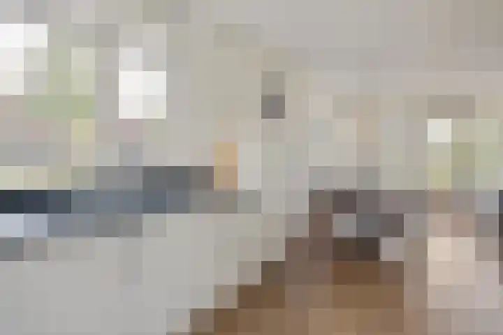Rutenberg 46 Raalte thumbnail 18