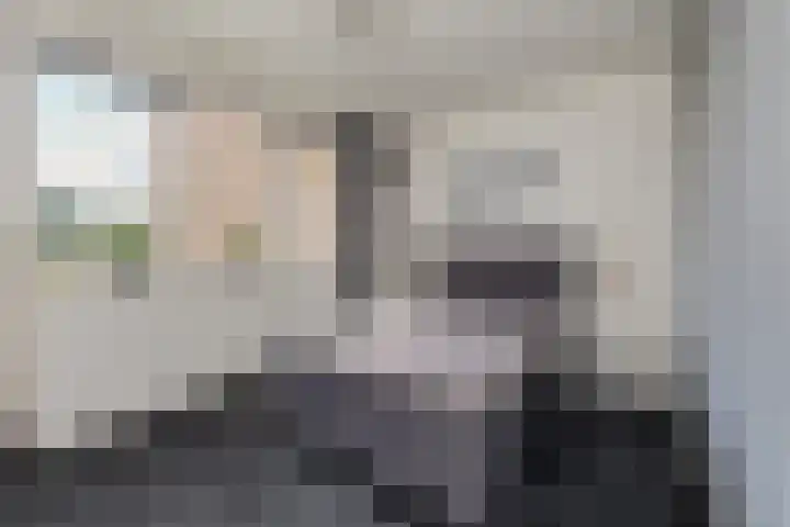 Rutenberg 46 Raalte thumbnail 21