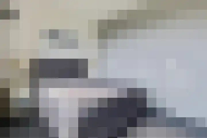 Rutenberg 46 Raalte thumbnail 22