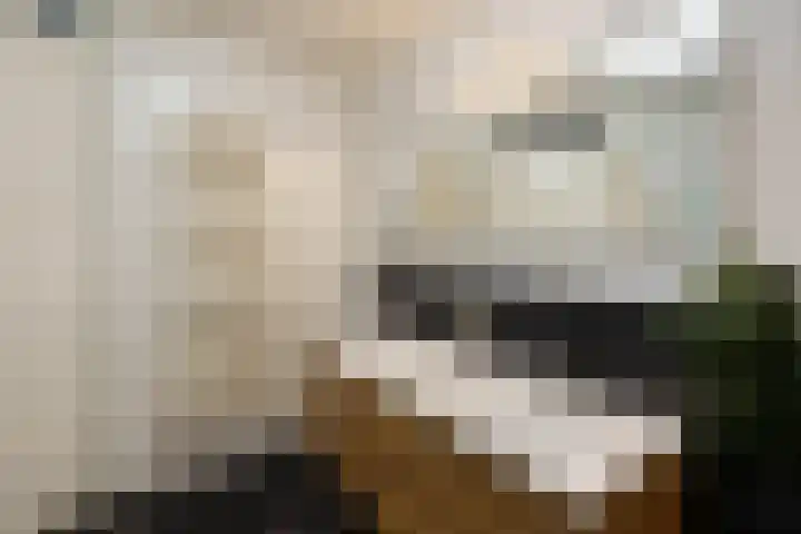 Rutenberg 46 Raalte thumbnail 25