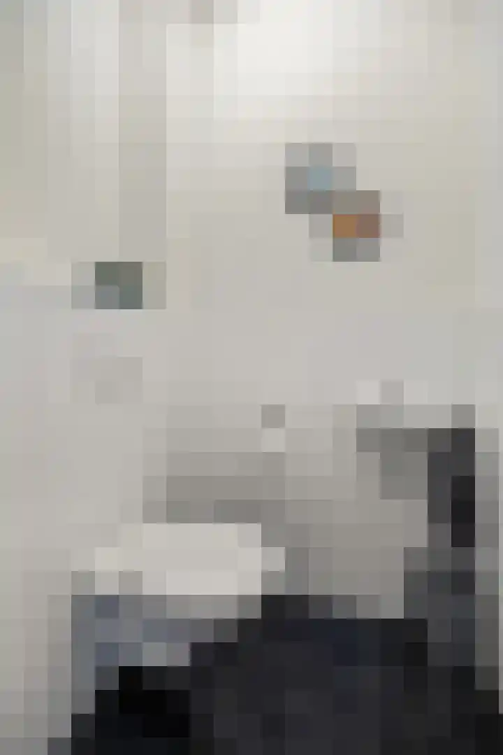 Rutenberg 46 Raalte thumbnail 30