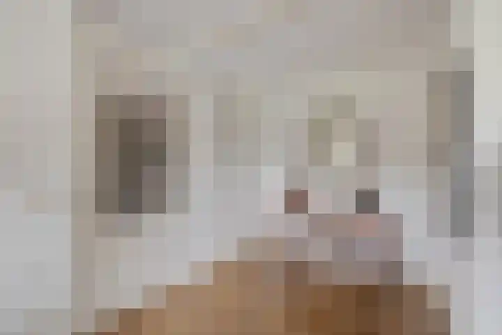 Rutenberg 46 Raalte thumbnail 32