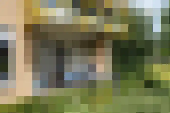 Rutenberg 46 Raalte thumbnail 5