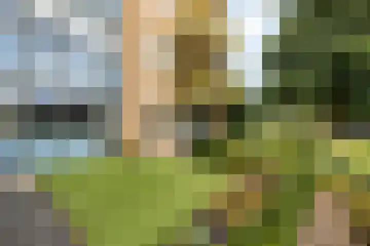 Rutenberg 46 Raalte thumbnail 7