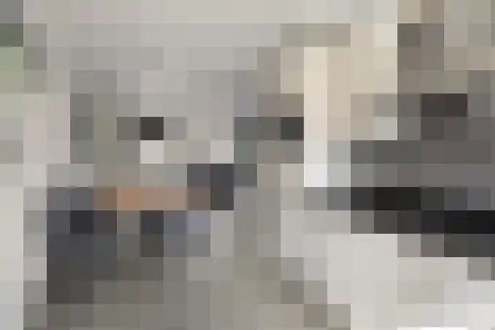 Rutenberg 5 Raalte thumbnail 10