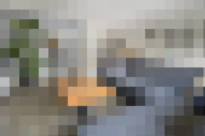 Rutenberg 5 Raalte thumbnail 6
