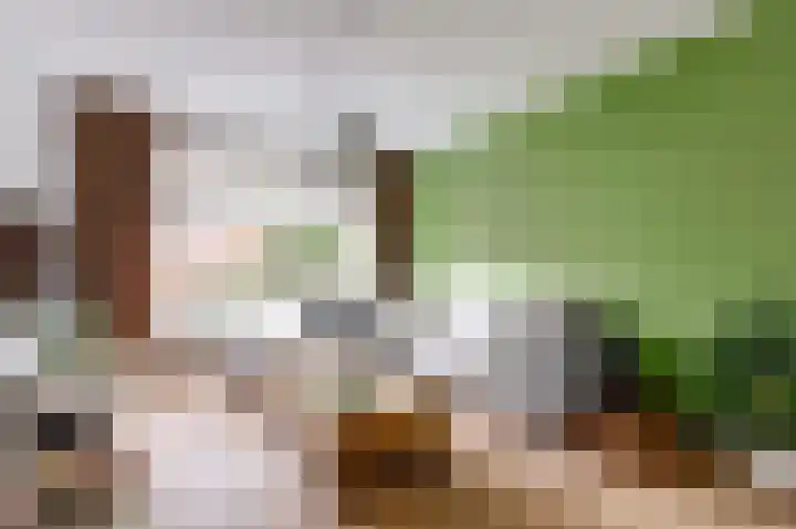 Rutgerstraat 46 Maasbree thumbnail 7