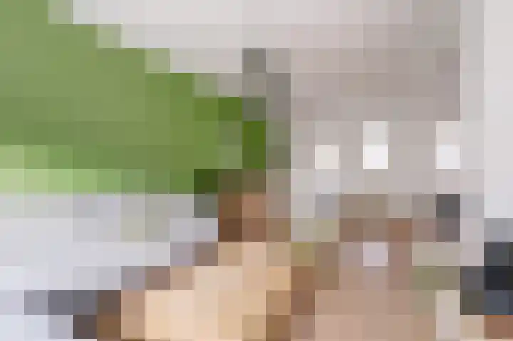 Rutgerstraat 46 Maasbree thumbnail 8