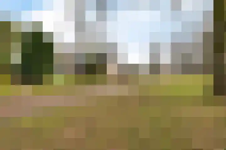 Rutgerswal 4 Aalden foto 2