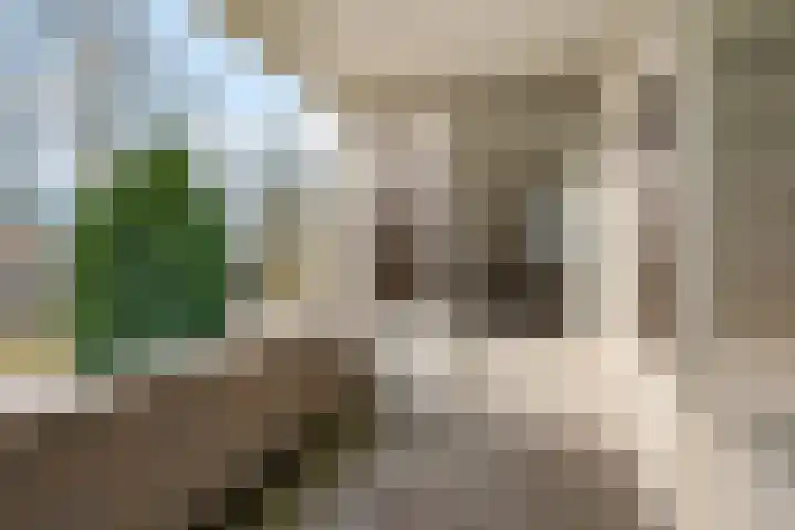 Rutgerswal 4 Aalden thumbnail 32