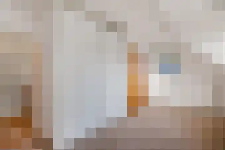 Rutgerswal 4 Aalden thumbnail 36