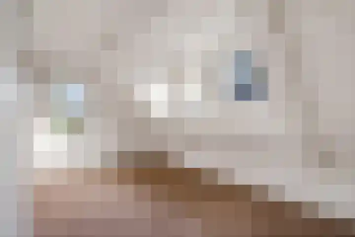 Rutgerswal 4 Aalden thumbnail 37