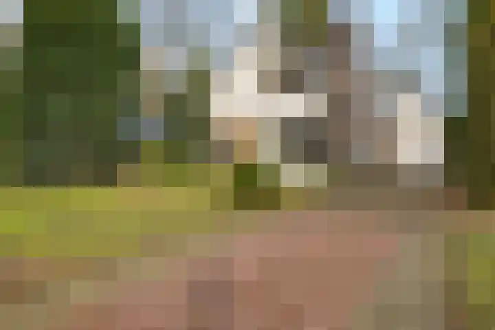 Rutgerswal 4 Aalden thumbnail 4