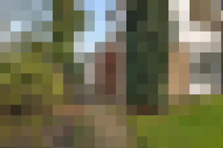 Rutgerswal 4 Aalden thumbnail 40