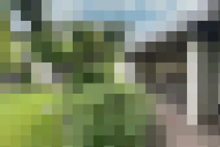 Rutgerswal 4 Aalden thumbnail 42