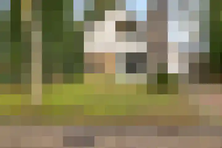 Rutgerswal 4 Aalden thumbnail 43
