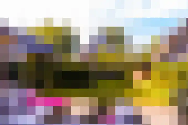 Rutgerswal 4 Aalden thumbnail 6