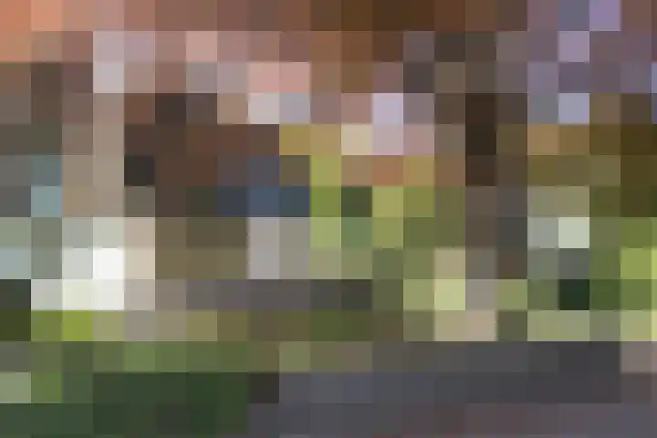 Rutgerswal 4 Aalden thumbnail 7