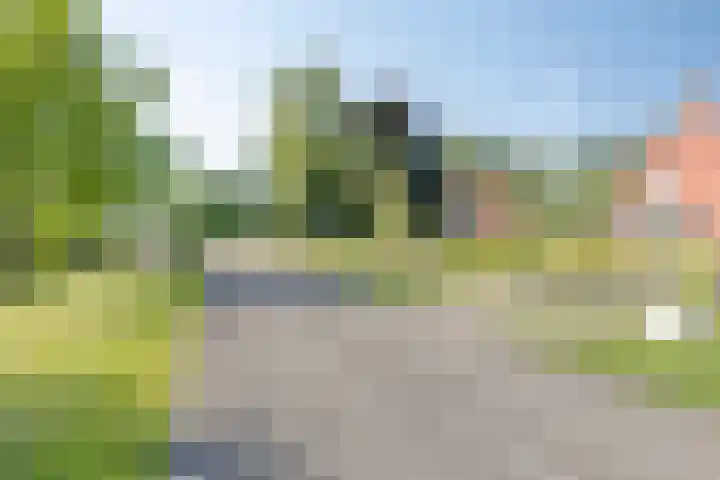 Ruurloseweg 18 Zelhem thumbnail 6