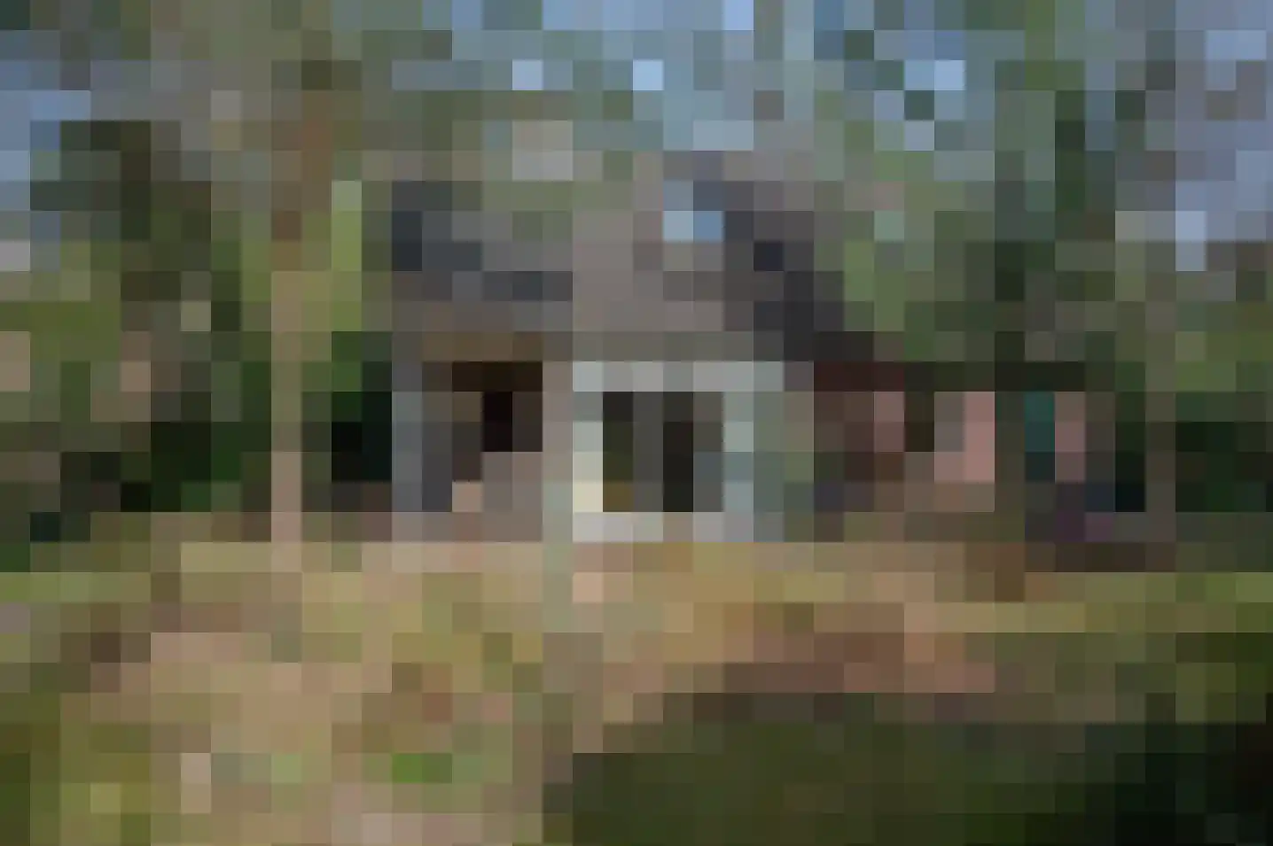 Ruurloseweg 30 V 86 Zelhem thumbnail 40